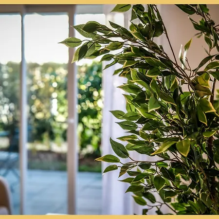 L'hermitage I T2 I Thonon-les-Bains