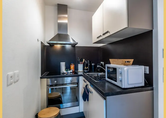 L'hermitage I T2 I Apartment Thonon-les-Bains